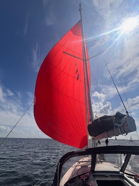 Benteau Oceanis 30.1 Bruinisse met gennaker